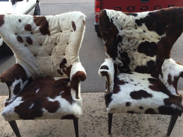 chairs cow
